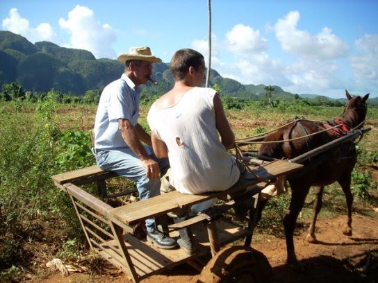 cuban tobacco farmers