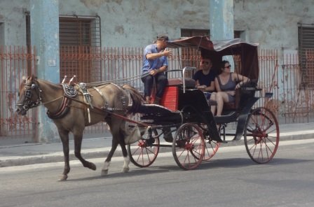 buggy havana cuba